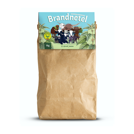 Brandnetel